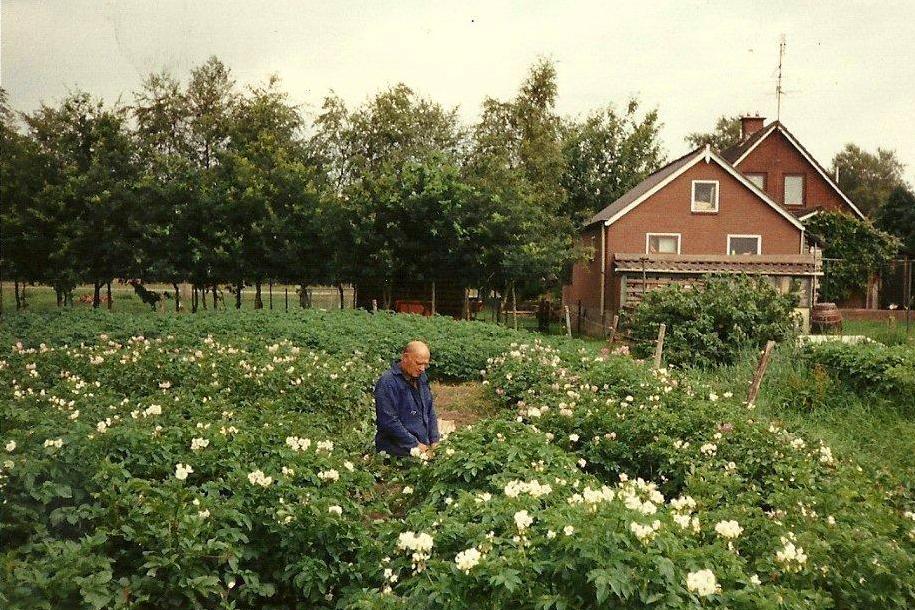 Jan Plas oogst zaailingen 2