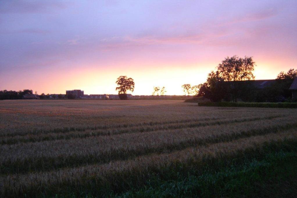 Zonsondergang 't Holt